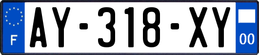 AY-318-XY