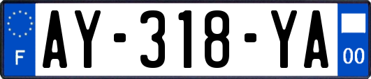 AY-318-YA