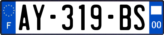 AY-319-BS
