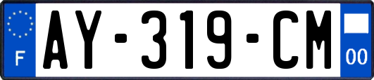 AY-319-CM