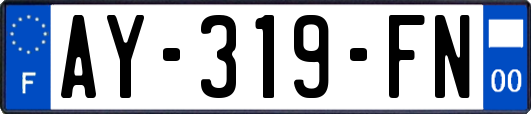 AY-319-FN