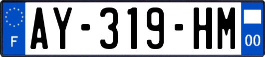 AY-319-HM