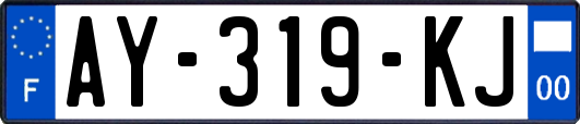 AY-319-KJ
