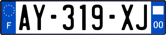 AY-319-XJ