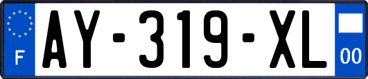 AY-319-XL