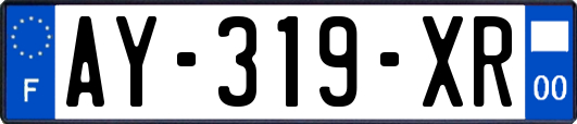 AY-319-XR