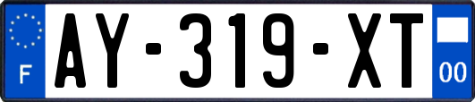 AY-319-XT