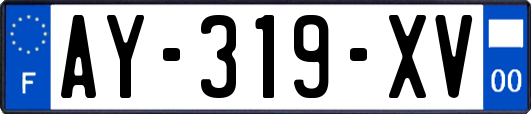 AY-319-XV