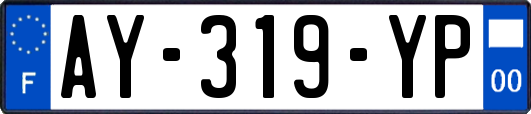 AY-319-YP