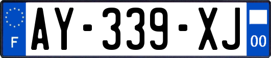 AY-339-XJ