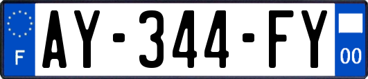 AY-344-FY