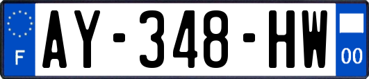 AY-348-HW