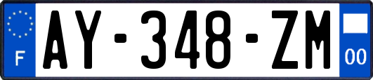AY-348-ZM
