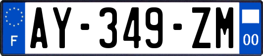 AY-349-ZM