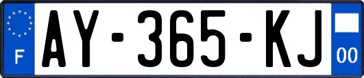 AY-365-KJ