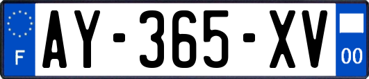 AY-365-XV