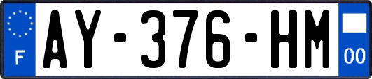 AY-376-HM