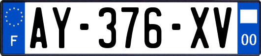 AY-376-XV