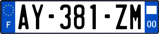 AY-381-ZM