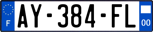 AY-384-FL