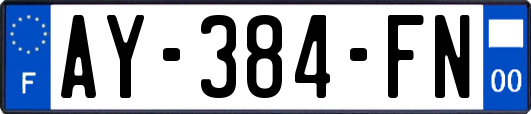 AY-384-FN