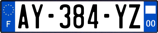 AY-384-YZ