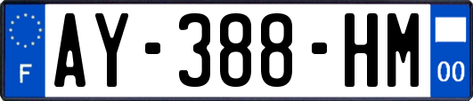 AY-388-HM