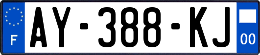 AY-388-KJ