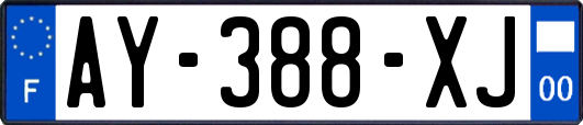 AY-388-XJ