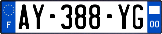 AY-388-YG