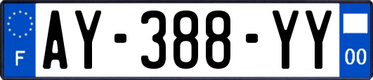AY-388-YY