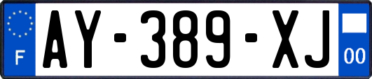 AY-389-XJ