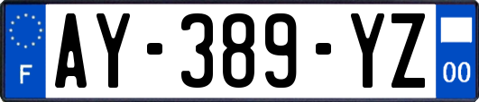 AY-389-YZ