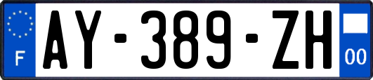 AY-389-ZH