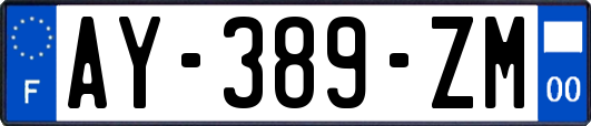 AY-389-ZM