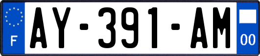 AY-391-AM
