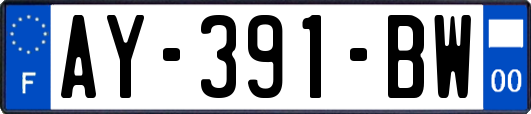 AY-391-BW