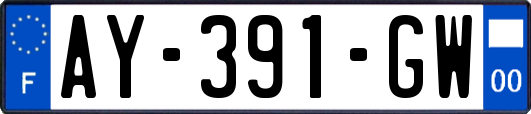 AY-391-GW