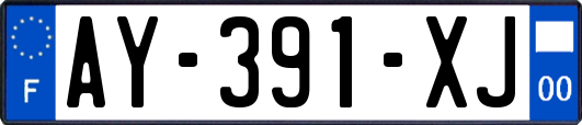 AY-391-XJ