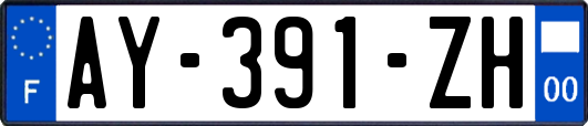 AY-391-ZH