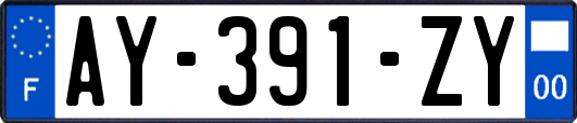 AY-391-ZY