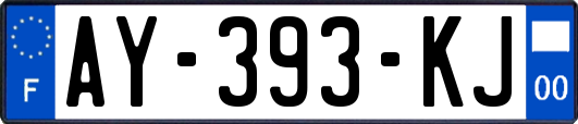 AY-393-KJ