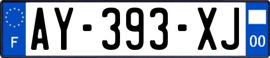 AY-393-XJ