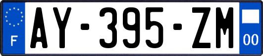 AY-395-ZM