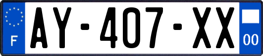 AY-407-XX