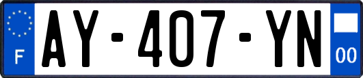 AY-407-YN