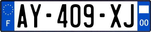 AY-409-XJ