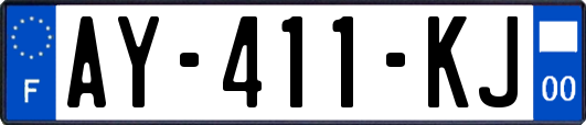 AY-411-KJ