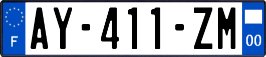 AY-411-ZM