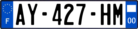 AY-427-HM